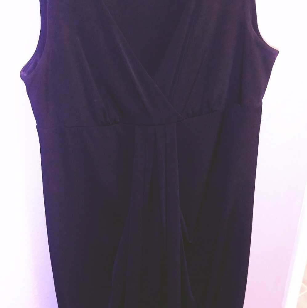Ann Taylor Petites